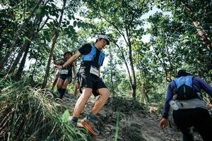 BIB: 
                            <button type="button" onclick="openModal(25761677)" class="btn btn-primary btn-sm float-right btn-popup" data-toggle="modal" data-target=".modal-high-quality">
                        <i class="fas fa-shopping-cart"></i> Add to Cart
                    </button>
                                            <button type="button" onclick="isThisMe(25761677, true)" class="btn btn-success btn-sm float-right btn-popup btn-isme hidden" data-toggle="tooltip" data-placement="bottom" title="นี่คือรูปของคุณใช่ไหม คลิกที่นี่เพื่อเอาเข้าอัลบั้ม">
                        <i class="fas fa-plus"></i> Add to album
                    </button>
                    <button type="button" onclick="isThisMe(25761677, false)" class="btn btn-warning btn-sm float-right btn-popup btn-isnotme hidden">
                        <i class="fas fa-ban"></i> Remove from album
                    </button>